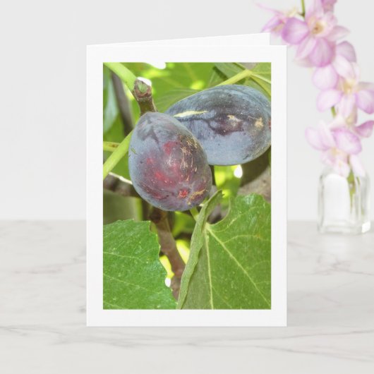 Carte Figes sur le portrait de l'arbre (Orchidée)