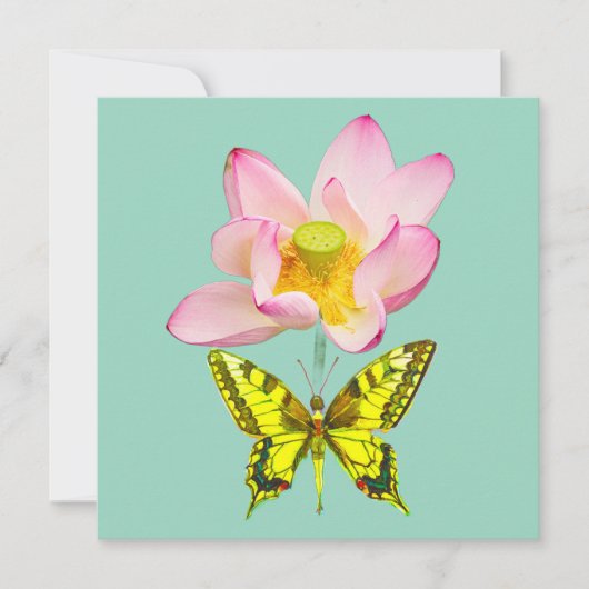 Carte figure papillon machaon (Devant)