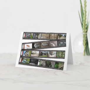 Carte Film Strip 2003-04 Greeting Card