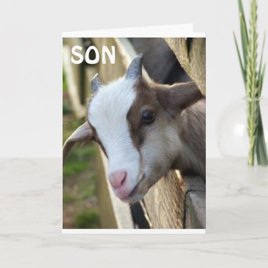 CARTE **FILS DE L'ANNÉE** ET JEUX ANNIVERSAIRE (Devant)