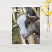 CARTE **FILS DE L'ANNÉE** ET JEUX ANNIVERSAIRE (Fleur jaune)