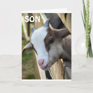 CARTE **FILS DE L'ANNÉE** ET JEUX ANNIVERSAIRE