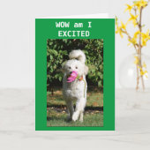 CARTE FILS TURNS 21 A EU À SE METTRE À HURRY POUR DIRE H (Fleur jaune)