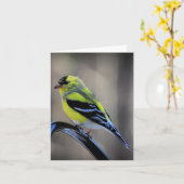Carte Fin de l'après-midi Goldfinch vide à l'intérieur (Fleur jaune)