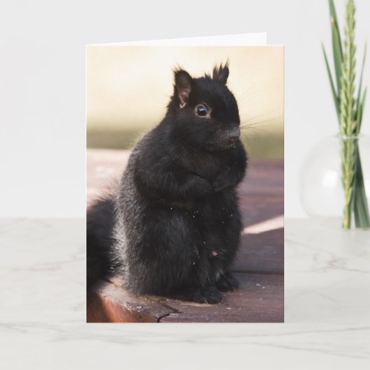 Carte Finally Friends (Devant)