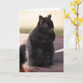 Carte Finally Friends (Fleur jaune)