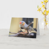 Carte Finch (Fleur jaune)