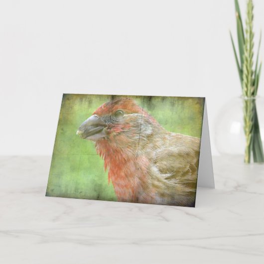 Carte Finch (Devant)