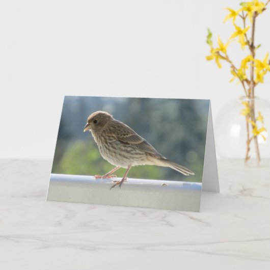 Carte Finch dans le soleil du matin. (Fleur jaune)