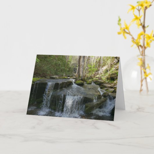 Carte Findlay Falls I (Fleur jaune)