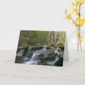 Carte Findlay Falls II (Fleur jaune)