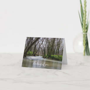 Carte Finley Tranquillité Au Printemps Penser À Vous