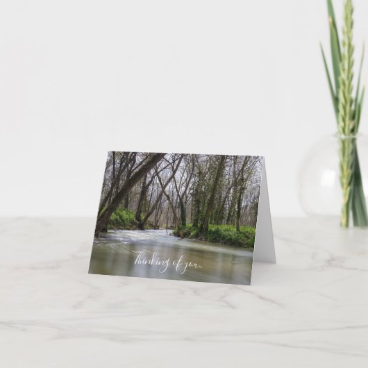 Carte Finley Tranquillité Au Printemps Penser À Vous (Devant)