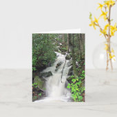 Carte Fires Creek (Fleur jaune)