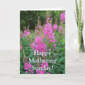 Carte Fireweed (Devant)