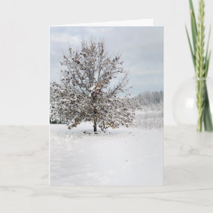 Carte First Snow Blank Note Card
