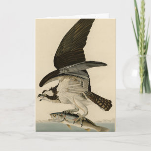 Carte Fish Hawk, Osprey, d'Audubon's Birds of America