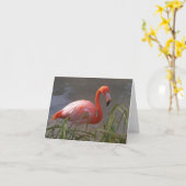 Carte Flamant rose (Fleur jaune)