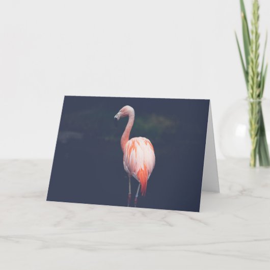 Carte Flamant rose au crépuscule (Devant)