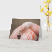 Carte Flamant rose au repos (Fleur jaune)