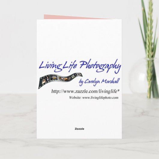 Carte Flamant rose Get Well (Dos)