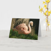 Carte Flamant rose rose (Fleur jaune)