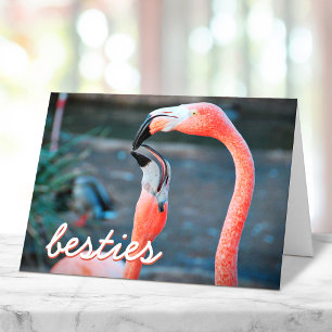 Carte Flamant rose rose Oiseaux Photo Besties Script élé