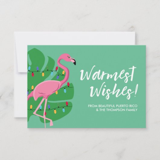 Carte Flamant rose Warmest Wings Famille de vacances (Devant)