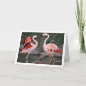 Carte Flamants roses (Devant)