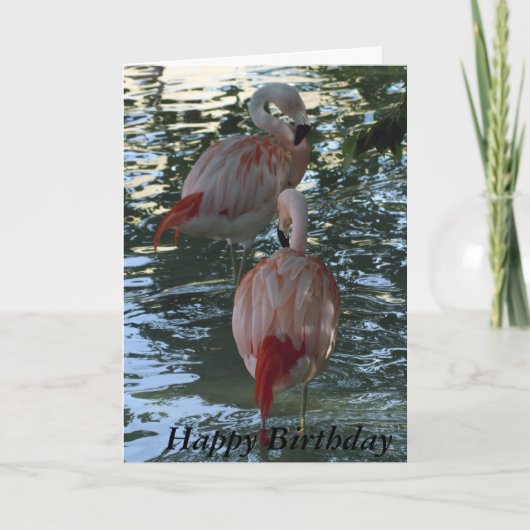 Carte Flamants roses (Devant)