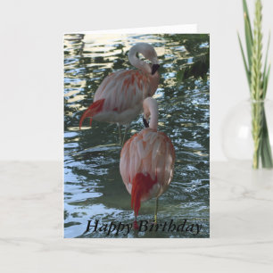 Carte Flamants roses