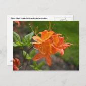Carte Flame Azalea Spring Post (Devant / Derrière)
