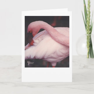 Carte Flamingo close up