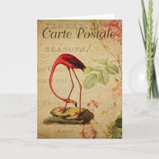 Carte Flamingo Vintage French Postcard Card (Devant)