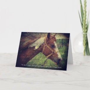 Carte Flashy avec devis