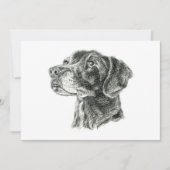Carte Flat Black Lab (Devant)