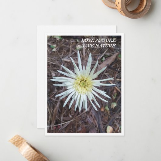 Carte Flat Note avec beauté nature (Devant/Arrière en situation)