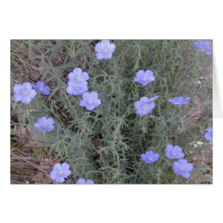Carte Flax Blossoms
