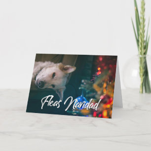 Carte Fleas Navidad Funny Christmas - VOTRE CHIEN PHOTO