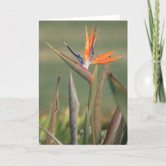 Carte Fleur