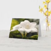 Carte Fleur (#1) (Fleur jaune)