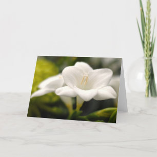 Carte Fleur (#1)