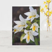 Carte Fleur #1668 (Fleur jaune)