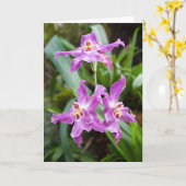 Carte Fleur #2770 (Fleur jaune)