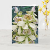 Carte Fleur #2817 (Fleur jaune)