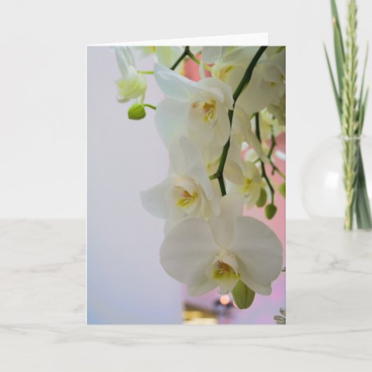 Carte Fleur #4124 (Devant)