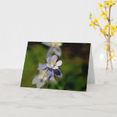 Carte Fleur 7 de Columbine (Fleur jaune)