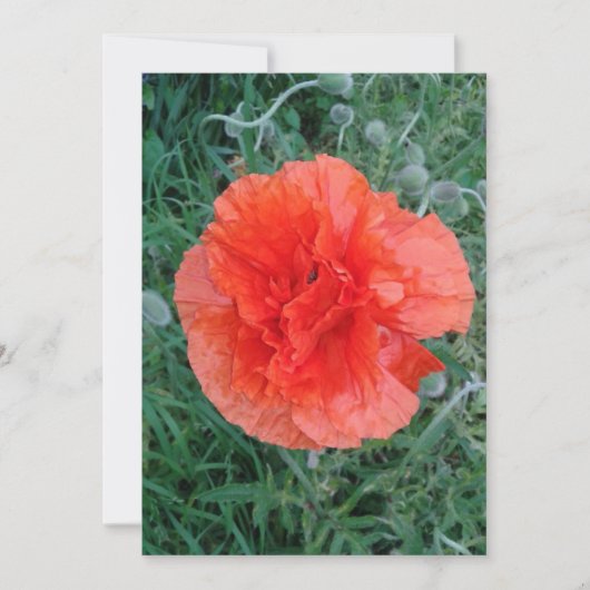 Carte Fleur à deux boutons (Devant)