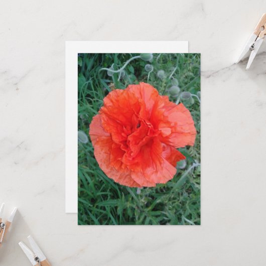 Carte Fleur à deux boutons (Devant/Arrière en situation)