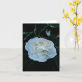 Carte Fleur blanche pure (Fleur jaune)